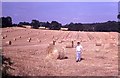 Field of golden hay bales in GU34 3LP