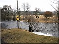 River Ardle in PH10 7NY
