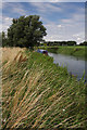 Narrowboat on River Lark near Isleham in CB7 5SW