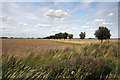 Thrift Drove, Soham Fen in CB7 5JJ