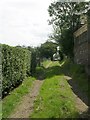 Footpath - Norristhorpe Lane in WF15 7BU