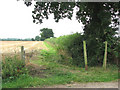 Public footpath leading south from Church Road in NR16 1AN
