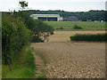 Fields looking towards Wattisham airfield in IP14 2LW