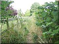 Footpath, Etchilhampton in SN10 3JN