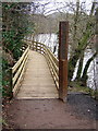 Clyde Walkway Near Crossford in ML8 5SY