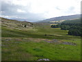Lower slopes of Creag Kynachan in PH16 5NN