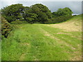 South West Coast Path west of Buck's Mills in EX39 5DT