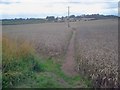 Public footpath to Derby Hills House Farm in DE73 8DJ