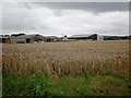 Farm Buildings along the Yorkshire Wolds and Wilberforce Ways in YO43 3PU