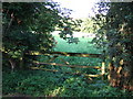 Paddock gate on Mill Lane, Leverington Common in PE13 4NR