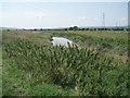 River Adur near Stretham Manor in BN5 9PQ
