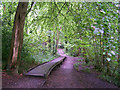 Path in the woodland park in SO31 7AH
