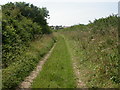 Gussage St Michael, bridleway in BH21 5JE