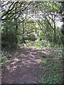Bridleway near Strawberry Roundabout in CH1 6PN