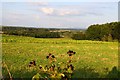 Looking over a field towards the Vale of Aylesbury in OX44 9DW