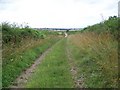 Bridleway near  Gussage St Michael in BH21 5JE