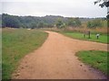 Path through Bestwood Country Park in NG6 8UE