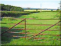 Fields, Hill Farm, west of Combwich in TA5 2PR