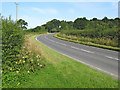 Road west of Combwich in TA5 2PR