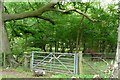 Gate below Shirburn Hill in OX49 5RR