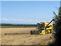Harvesting near Kilton in TA5 1PZ