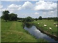River Trent upstream of Sandon Bridge in ST18 9TB