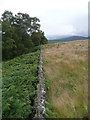 Dry stone wall in PH16 5PA