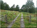 Gate on track to Mullinavadie in PH16 5PA