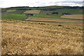 Wheatfield, Kirkton of Kingoldrum in DD8 5HG