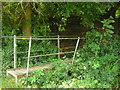 Footbridge in a valley in TN2 4AP