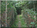 Footpath in Cork Wood in TN12 7AH