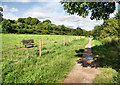 Footpath by the River Stour in BH21 1EQ