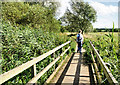 Footbridge by the Stour in BH21 1EQ