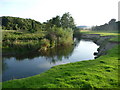 The River Teme close to Burrington Bridge in SY8 2HS