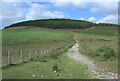 Bridleway climbing towards forestry above Caerau in CF34 0SN