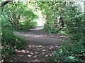 Footpath cross roads near fishing lake in RH17 7BA