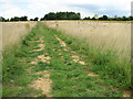 Path to Rockland St Mary in Rockland Ward