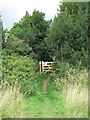 Gate on public footpath in Rockland Ward
