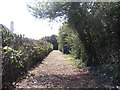 Footpath to east of Bristol Business Park in BS12 6SQ
