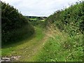 Track To Cross Farm, Over Stowey in TA5 1HG