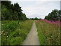 Towpath approaching Woodcockdale in EH49 6QD