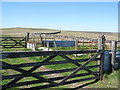 Sheep pens at Race Head in DL13 1PR