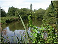 Verwood, fishing lake in BH31 6JQ