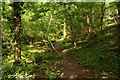 Footpath through the woods in Happy Valley in OX1 5BQ