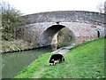 Aylesbury Arm: Bridge No 8 in HP22 5WJ