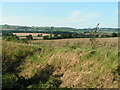 Looking towards Stevenstone Barton from the green lane in EX5 5YR