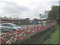 Tyndalls Garden Centre, Sedge Green in CM19 5JS