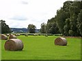 Round Bales Near Poldar Moss in FK8 3QQ