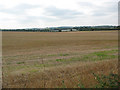 Field of stubble near Roydon Hamlet in EN9 2BT
