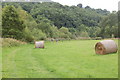 Walkers on a Wye valley meadow near Welsh Bicknor in GL17 9NU
